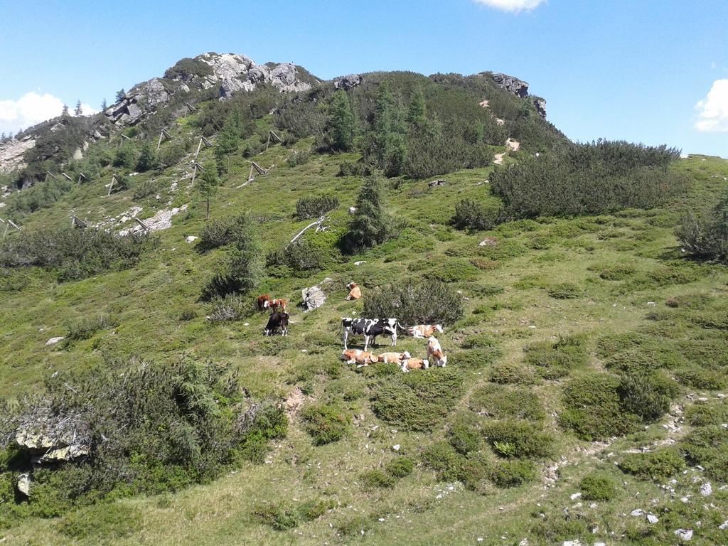 Alpenhotel Marcius Sonnenalpe Nassfeld Zewnętrze zdjęcie